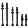 Kit De Valves Tubeless Fulcrum 2-Way Fit 55 Mm